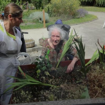 atelier jardinage juillet 2016 005