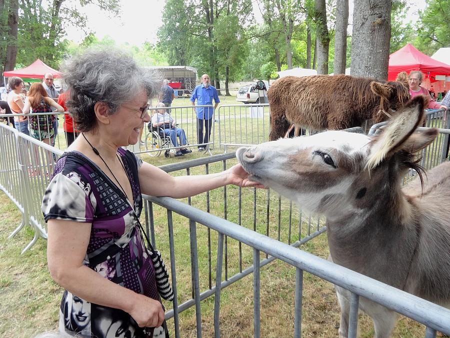 fête de l'ane juin 17-16