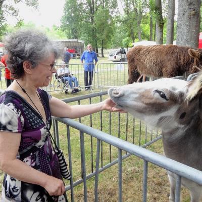 fête de l'ane juin 17-16