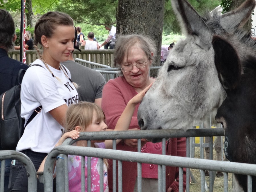 fête de l'ane juin 17 -19