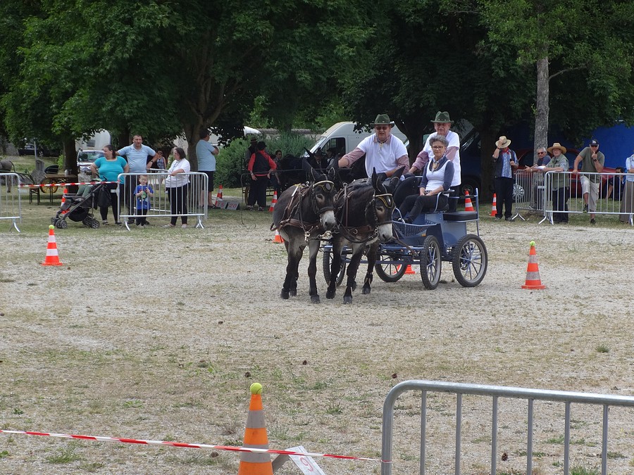 fête de l'ane juin 17-25