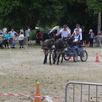 fête de l'ane juin 17-25