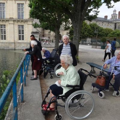 jardin Fontainebleau juillet 2016 007