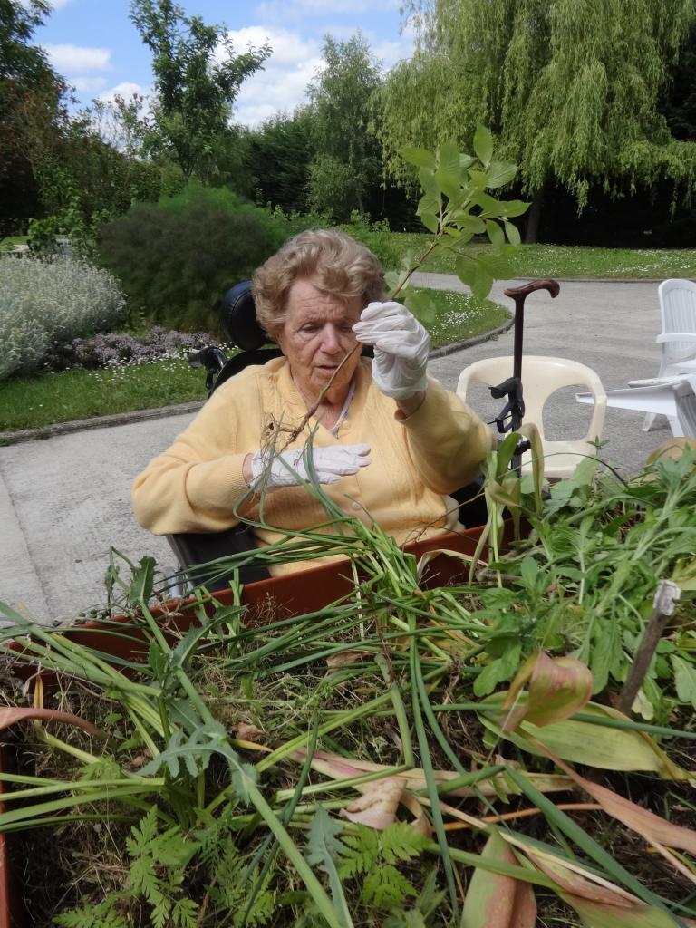 jardin thérapeutique PASA 004