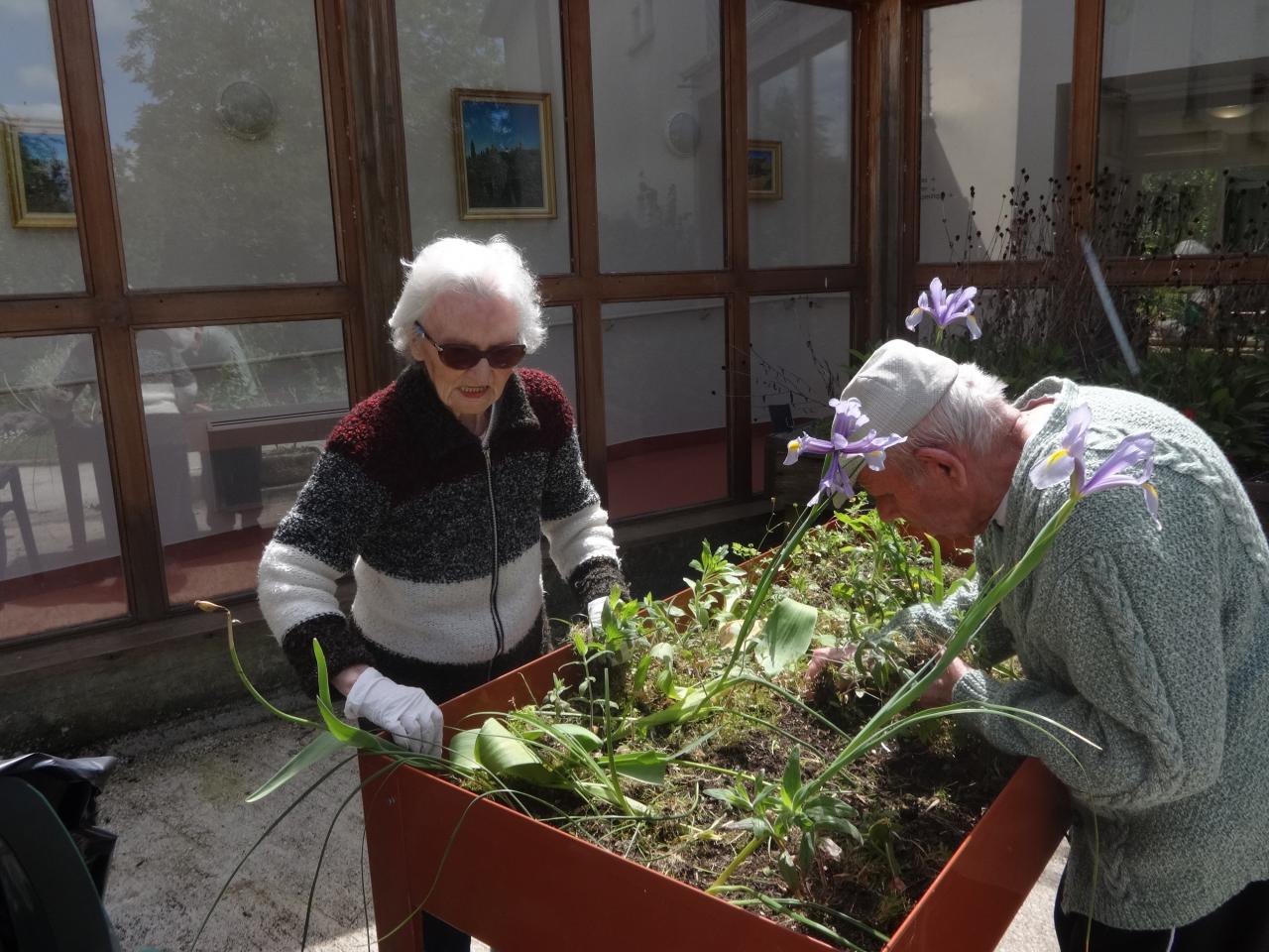 jardin thérapeutique PASA 009